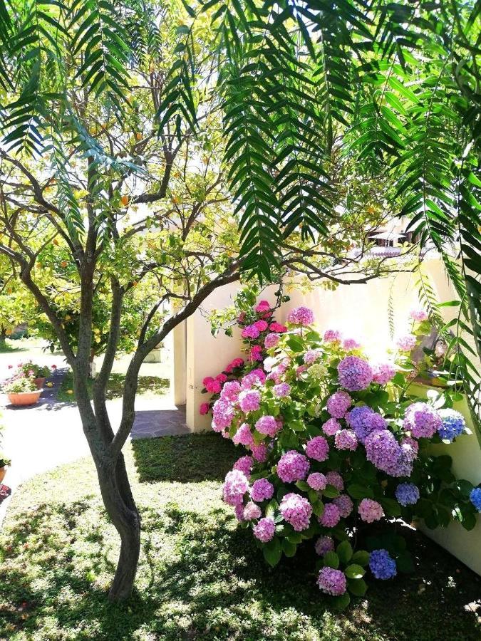 A Casa Di Iole Apartment Фиумичино Екстериор снимка